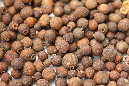 allspiceの写真素材