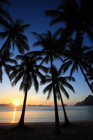 sunset of tropic islandの写真素材