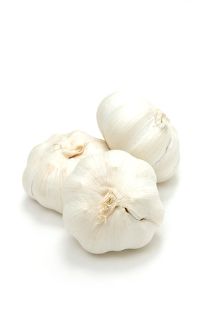 garlicの写真素材