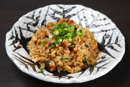 eel fried rice with small onionの写真素材