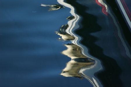 REFLECTION 01の写真素材