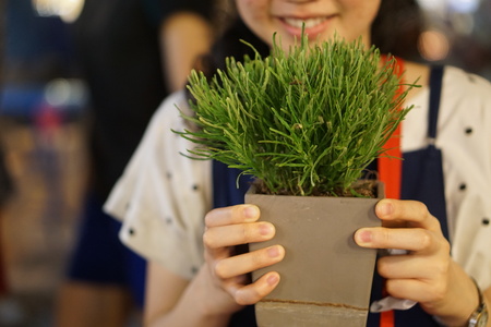 Smile girl hold on the treeの写真素材