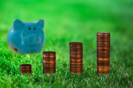 Stack of coins in the garden. Piggy bank in background. Saving money concept.の写真素材