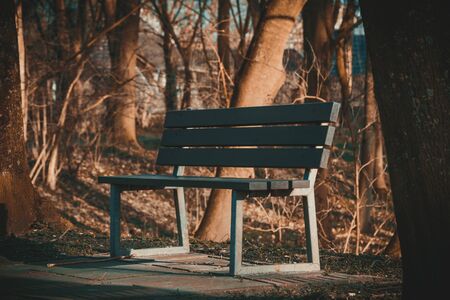 A bench in the park in winter or spring time.の写真素材