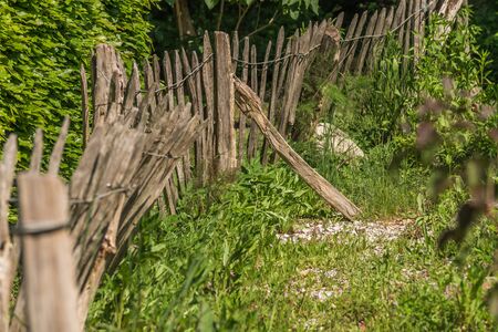 Old fence in a garden.の写真素材