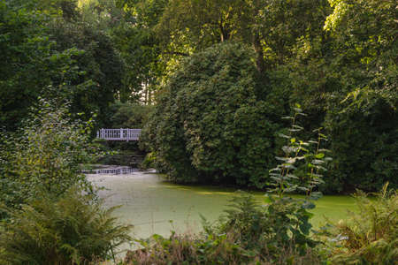 Beautiful landscape with a white wooden bridge.の写真素材