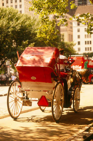 central parkの写真素材