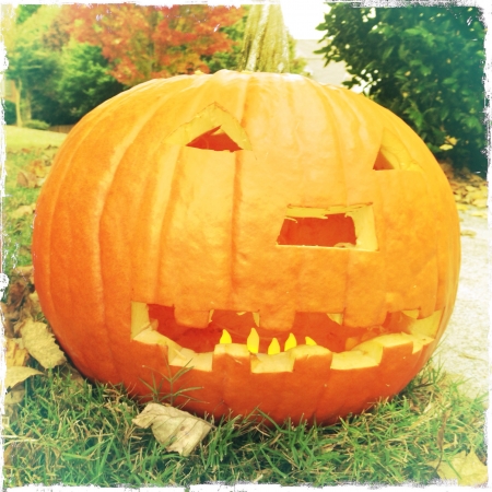 Halloween pumpkinの素材