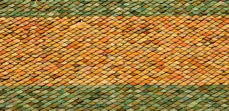 Background Texture  Detail of a roof  Tile Pattern