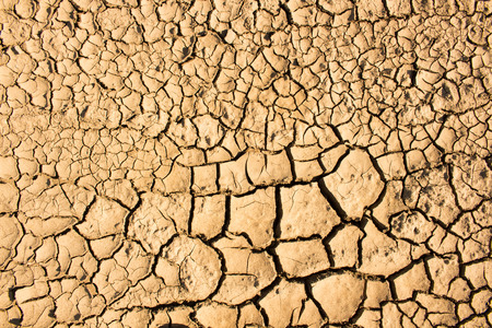 Dry cracked earth background, clay desert textureの写真素材