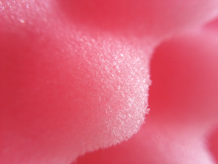 close up pink spongeの写真素材