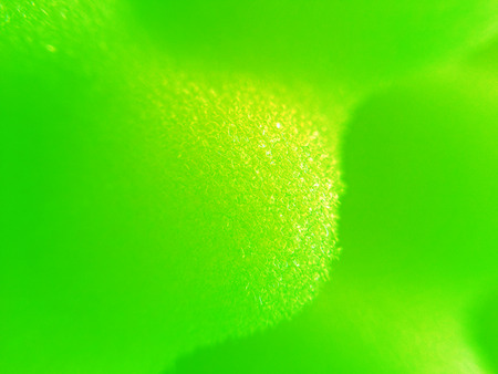 green sponge background