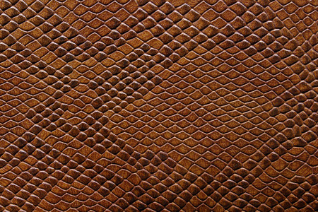 brown texture leather skinの写真素材