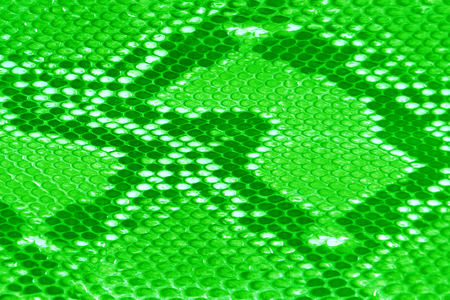 green texture leather skin