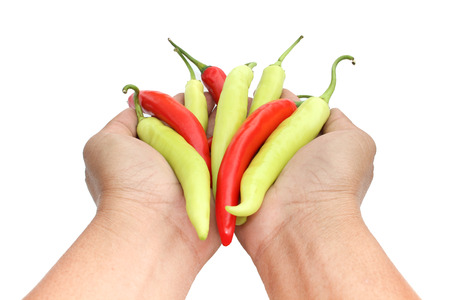hands holding sweet peppers on white backgroundの写真素材