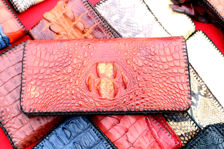 wallet man crocodile skinの写真素材