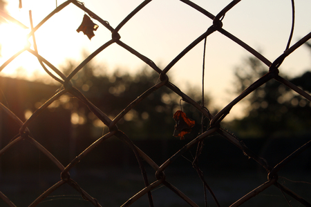 silhouette metal fence on sunsetの写真素材