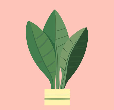 Plant in a pot. Vector illustration in flat design style.のイラスト素材