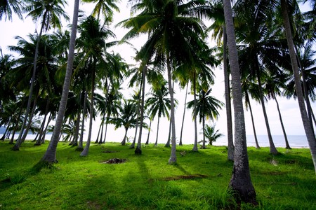 sea scapeの写真素材