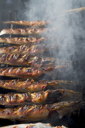 Fish products on display, the largest wholesale fish market  Vang Vieng, Laosの写真素材