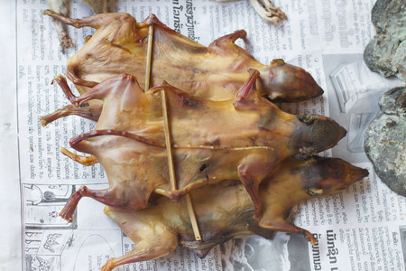 VANG VIENG,  Squirrels are sold at central city morning market  in Vang Vieng, Lao のeditorial素材
