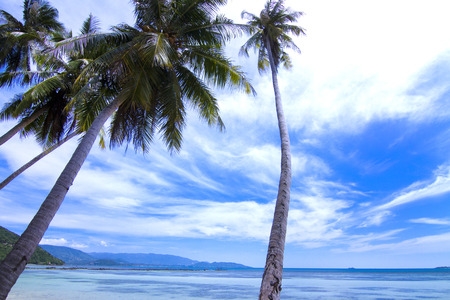 Koh Tan beautiful Coconut trees sticking out of the sea. Koh Samui Thailamd.の写真素材