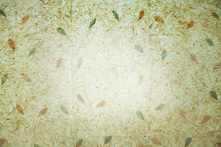 Mulberry paper cosmos petals and grass on white Sa Paper texture background, it's handmade from parish Bosang province Chiang Mai north of Thailandの写真素材