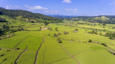 Aerial view of paddy field at Mae Hong Son, North of Thailand. Agriculture landscape. Aerial...