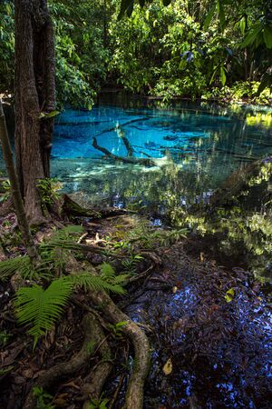 Blue Pool in Krabi Province south of Thailand (Emerald Pool-Krabi)の写真素材
