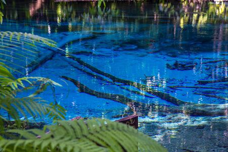 Blue Pool in Krabi Province south of Thailand (Emerald Pool-Krabi)の写真素材
