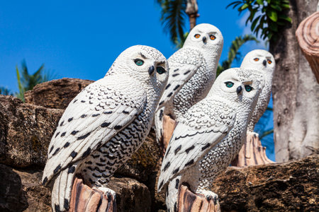 Pattaya, Thailand -â€‹ May 2, 2019â€‹: Statue An owl zoo Valleyâ€‹ in  Nong...