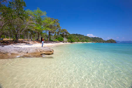 The shadow of a coconut tree on a beautiful tropical beach in Koh Ngai, Krabi Province, Thailand.