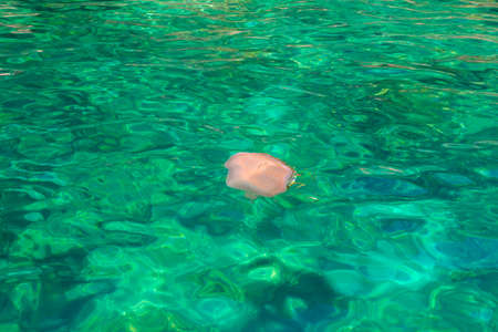 Beautiful beaches at Koh Ngai, South of Andaman Coast, Krabi Province, Thailand.の写真素材