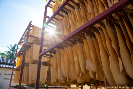 Process of rubber sheets production by drying and fumigation. High quality fumigate rubber sheets....