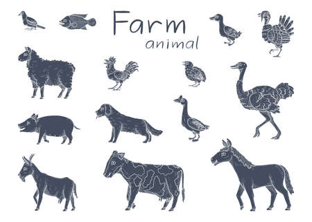 vector illustration of farm animal isolated on white backgroundのイラスト素材