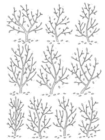 hand drawn side view tree vector set isolated on white background.のイラスト素材