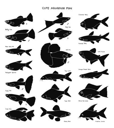 hand drawn vector set of cute aquarium fish isolated on white background.のイラスト素材
