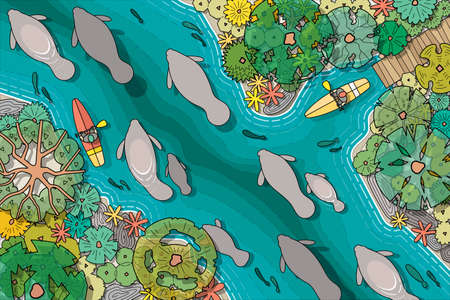 top view tree vector set for architectural and landscape design with animal on riversideのイラスト素材