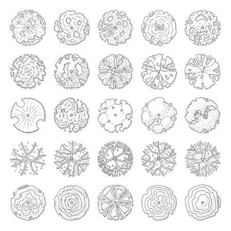 Hand drawn vector set of top view trees isolated on white background for landscape design or decoration.のイラスト素材