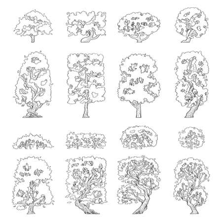 Hand drawn vector illustration set of side view trees isolated on white background.のイラスト素材