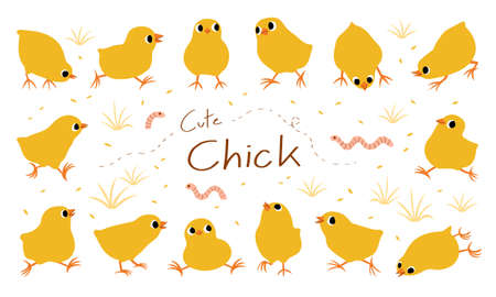 hand drawn vector illustration set of cute chick isolated on white background.のイラスト素材