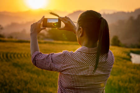 Happy Young Asian farmer or agronomist standing in Beauty Golden ripe wheat field in spring. Using digital tablet. Modern internet communication quality test checking survey technologies Concept.の写真素材