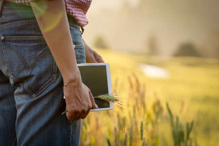 Happy Young Asian farmer or agronomist standing in Beauty Golden ripe wheat field in spring. Using...