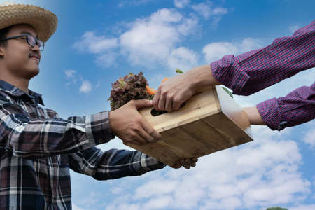 Quality local product checking concept. Smart phone and wooden box with vegetables in field. Fresh...