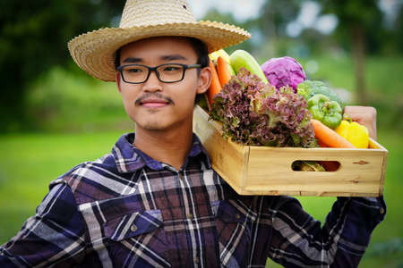 Young Asian man farmer with freshly picked vegetables in basket. Hand holding wooden box with vegetables in field. Fresh Organic Vegetables from local producers ready for transport.の写真素材