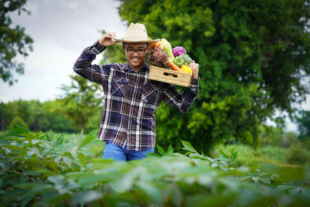 Young Asian man farmer with freshly picked vegetables in basket. Hand holding wooden box with...