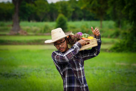 Young Asian man farmer with freshly picked vegetables in basket. Hand holding wooden box with...