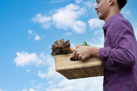 Quality local product checking concept. Smart phone and wooden box with vegetables in field. Fresh Organic Vegetables from local producers ready for transport.の写真素材