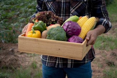 Young Asian man farmer with freshly picked vegetables in basket. Hand holding wooden box with vegetables in field. Fresh Organic Vegetables from local producers ready for transport.の写真素材