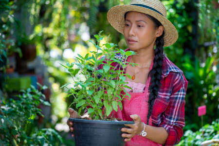 Young Asian woman caring for plants in a small garden shop.
Holding a potted white hydrangea plant watering flower pots. Sitting on knees in the walkway between plants. Lifestyle joy happy freedom dayの写真素材